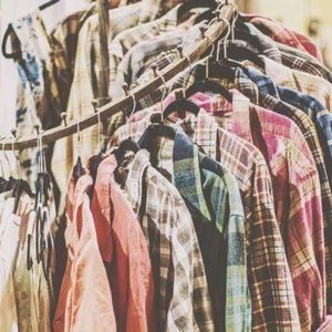 Meet your Posher, Ginger